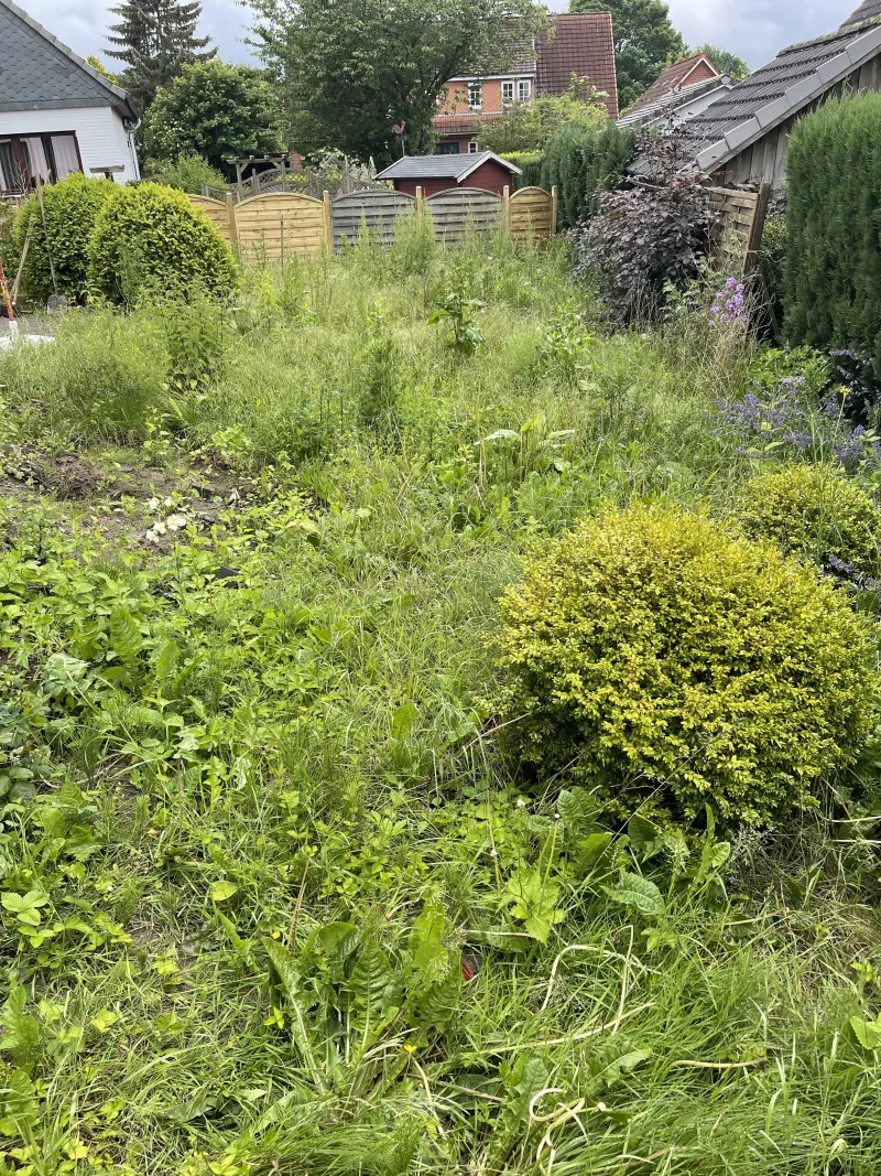 Garten angelegt im Raum Kiel