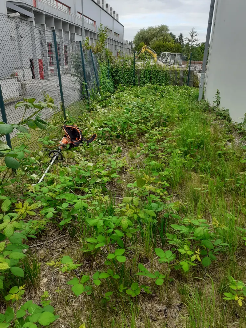 Grundstückspflege im Raum Kiel