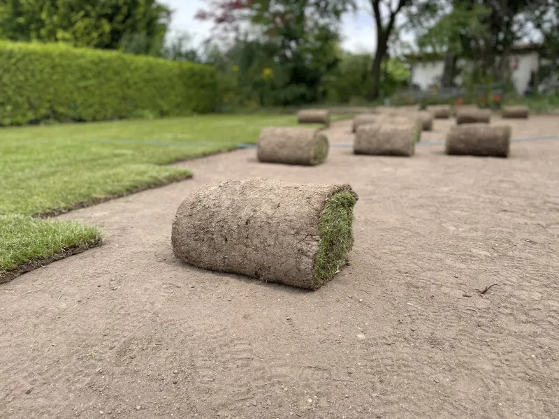 Rollrasen verlegt im Raum Kiel