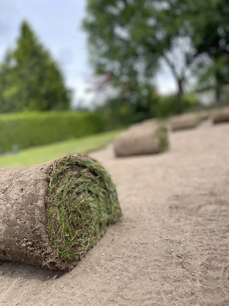 Rollrasen verlegt im Raum Kiel